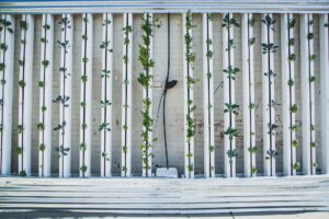 Landwirtschaft im Wandel: Foodtech - Indoor-Vertical-Farming