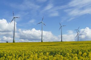 Gegenwind für die Umsetzung des European Green Deals