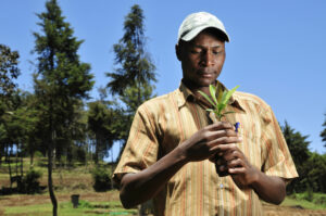 Umweltverträgliche Landnutzung: Mustergut zur Selbsthilfe