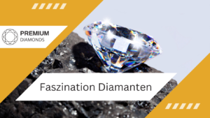 Faszination Steine - Die Verzauberung aus der Erde